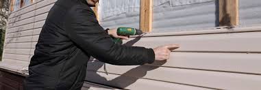 Best Siding Painting and Refinishing  in Passapatanzy, VA